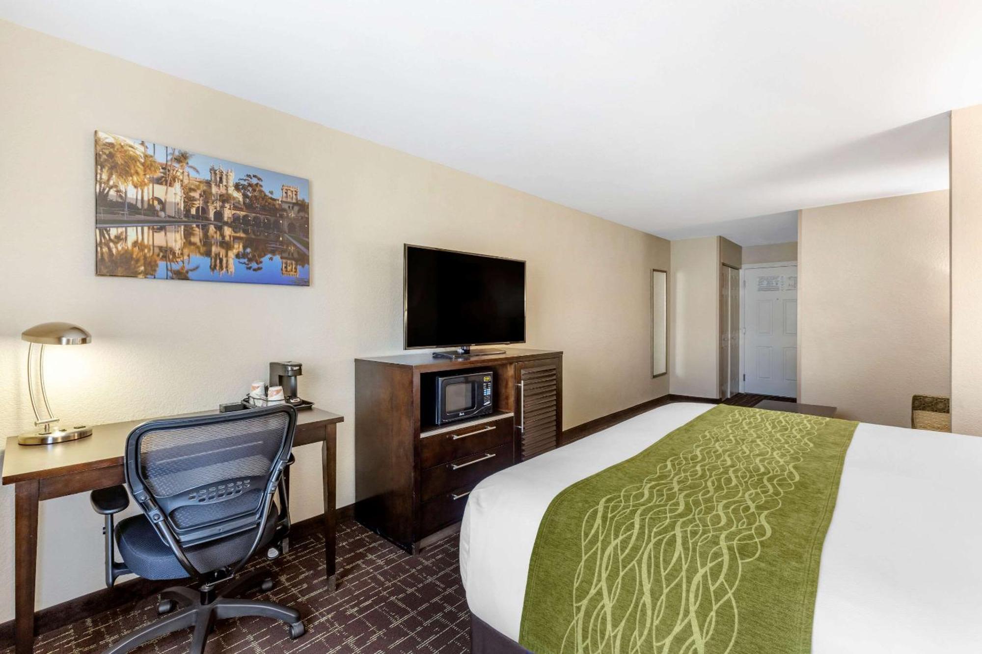 Standard Room 1 King Bed Non Smoking