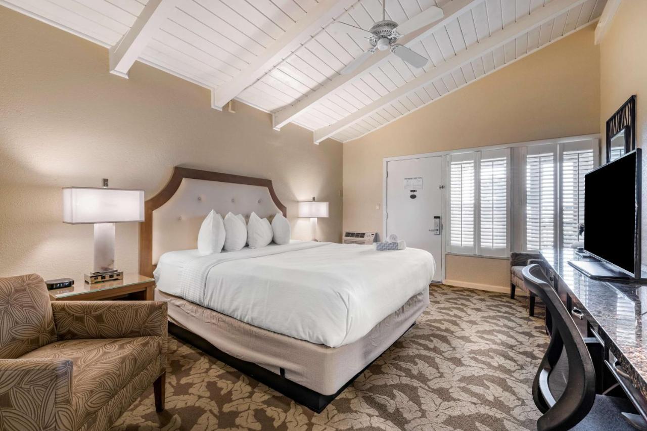 Standard King Room,1349911972:JPEG