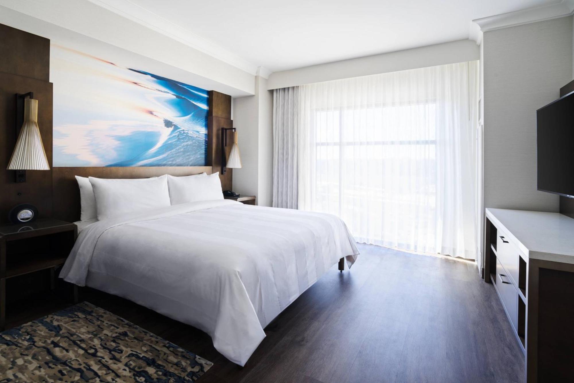 Deluxe King Suite