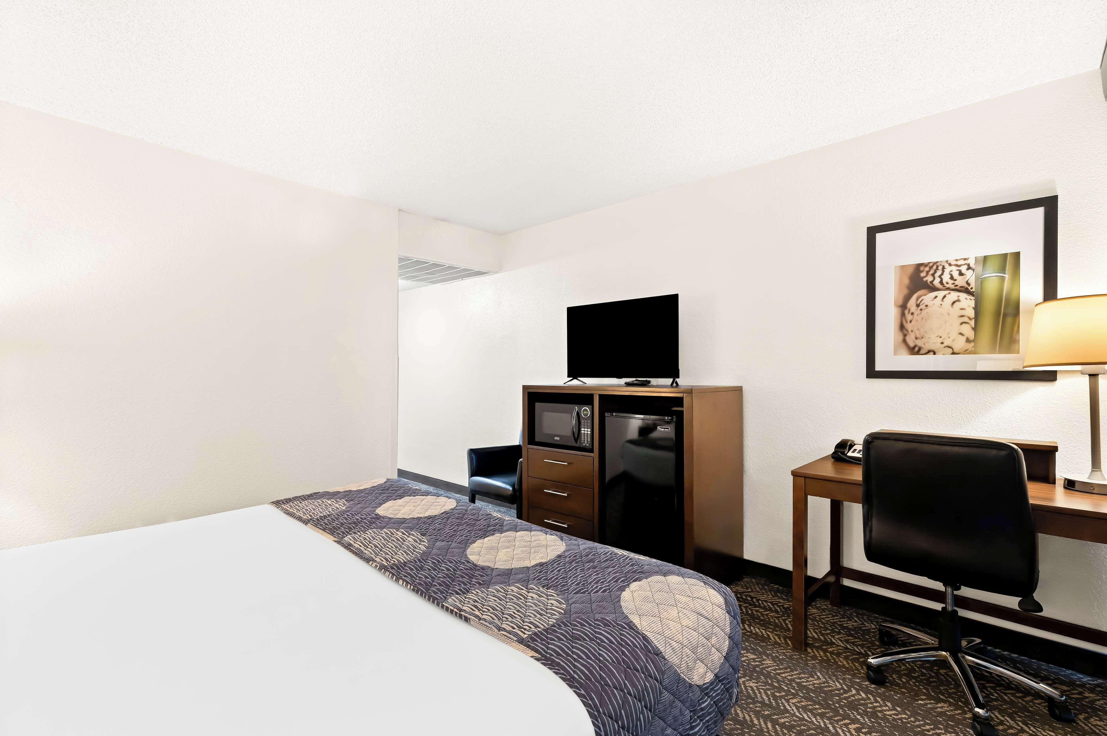 King Room Harbour View,1706453979:JPEG