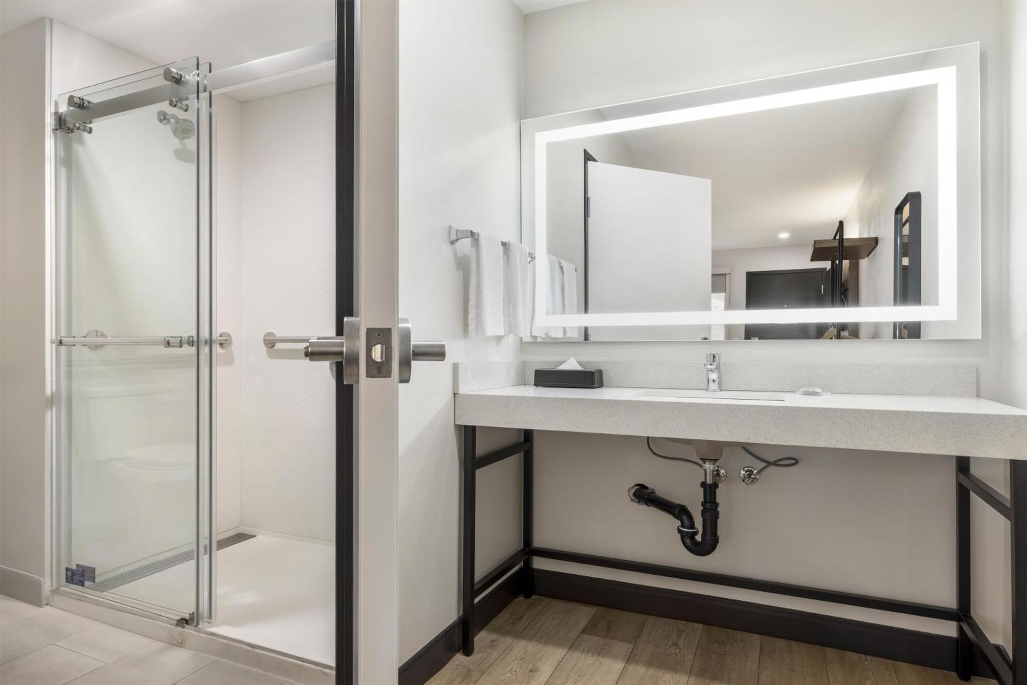 King Room Roll Shower Disability Access or Non-Smoking