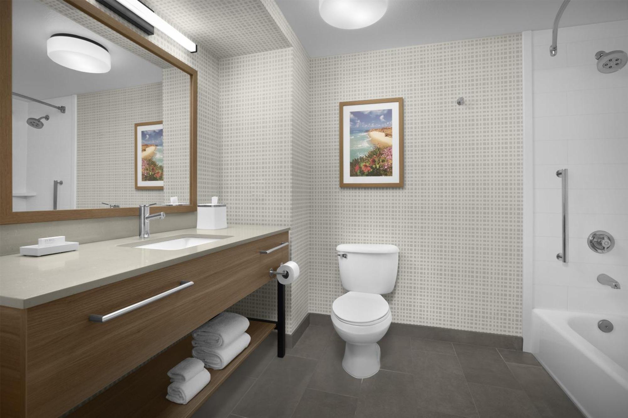 One-Bedroom King Suite Non-Smoking
