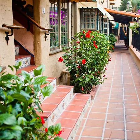 El Cordova-2